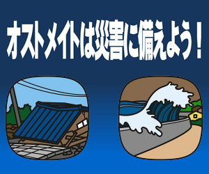 オストメイトは災害に備えよう!~東日本大震災からの学び~